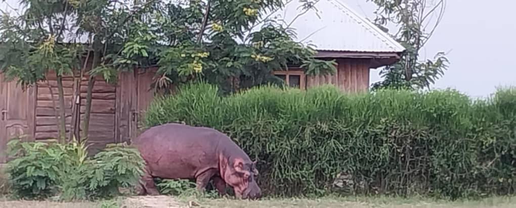 Tembo Safari Lodge Katunguru 외부 사진